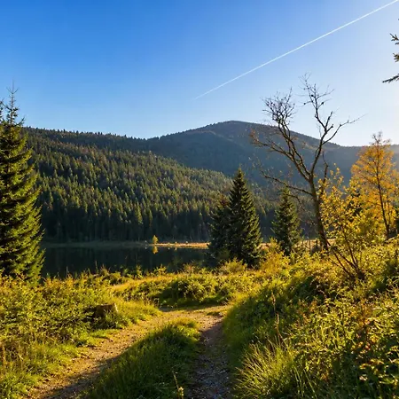 Appartement Familienfreundliches Mit Balkon Im Bayerischen Wald Gratis Osserbad Lohberg