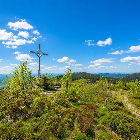 Familienfreundliches Mit Balkon Im Bayerischen Wald Gratis Osserbad *